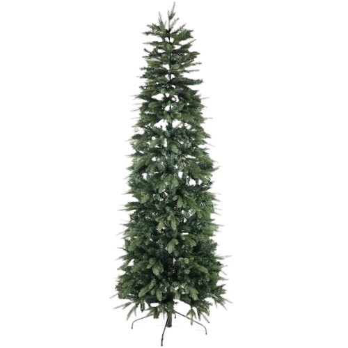 Bud albero natale roosevelt - bud, di