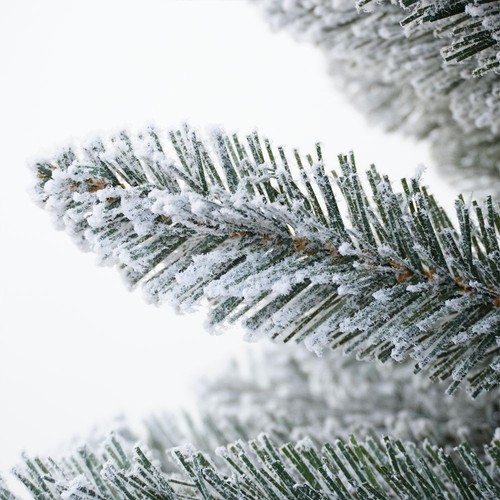 Albero natale slim pino - albero,